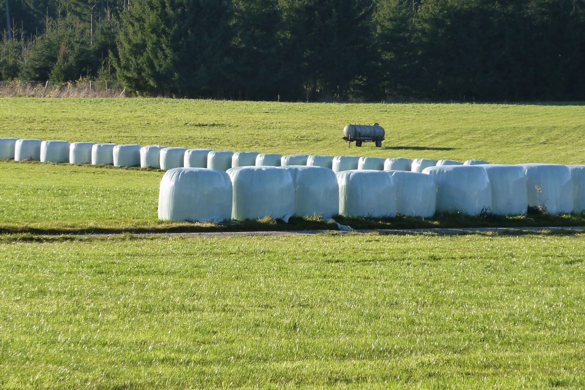 L&rsquo;ensilage